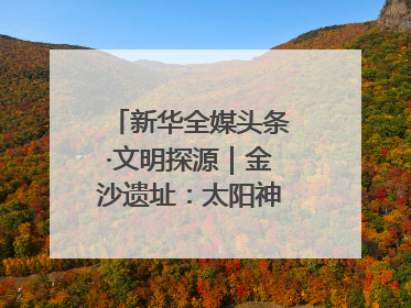 新华全媒头条·文明探源｜金沙遗址：太阳神鸟起飞的地方