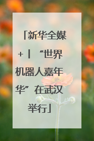 新华全媒+丨“世界机器人嘉年华”在武汉举行
