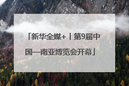新华全媒+丨第9届中国—南亚博览会开幕