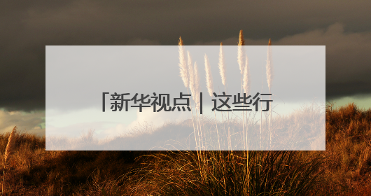 新华视点｜这些行业正在“爆单”！中国经济活力密码