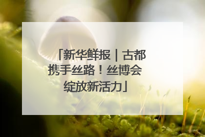 新华鲜报｜古都携手丝路！丝博会绽放新活力