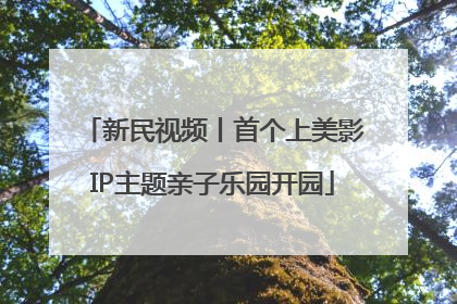 新民视频丨首个上美影IP主题亲子乐园开园