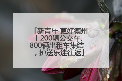 新青年·更好德州丨200辆公交车、800辆出租车集结，护送乐迷往返