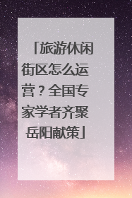 旅游休闲街区怎么运营？全国专家学者齐聚岳阳献策