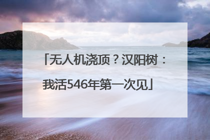 无人机浇顶？汉阳树：我活546年第一次见