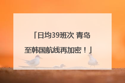 日均39班次 青岛至韩国航线再加密！