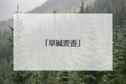 旱碱麦香