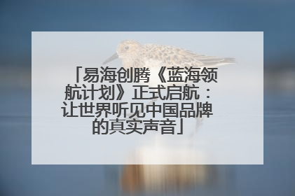 易海创腾《蓝海领航计划》正式启航：让世界听见中国品牌的真实声音