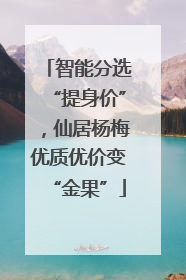 智能分选“提身价”，仙居杨梅优质优价变“金果”