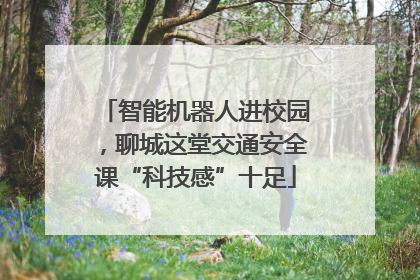 智能机器人进校园，聊城这堂交通安全课“科技感”十足