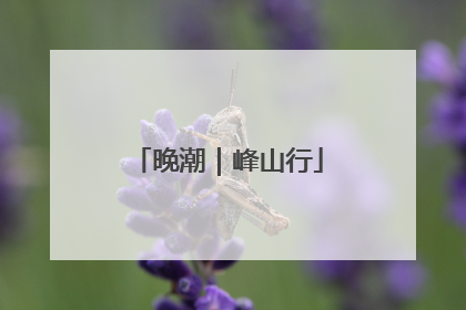 晚潮｜峰山行