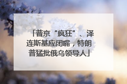 普京“疯狂”、泽连斯基应闭嘴，特朗普猛批俄乌领导人