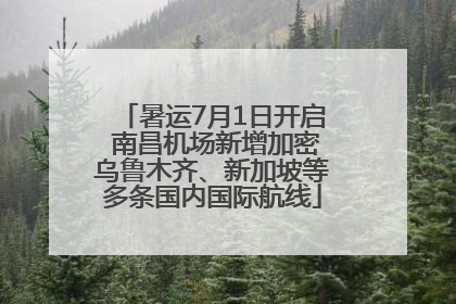 暑运7月1日开启 南昌机场新增加密乌鲁木齐、新加坡等多条国内国际航线