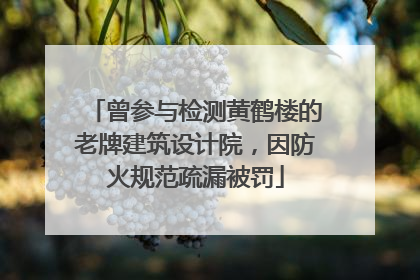 曾参与检测黄鹤楼的老牌建筑设计院，因防火规范疏漏被罚