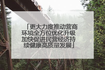 更大力度推动营商环境全方位优化升级加快促进民营经济持续健康高质量发展