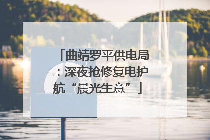 曲靖罗平供电局：深夜抢修复电护航“晨光生意”