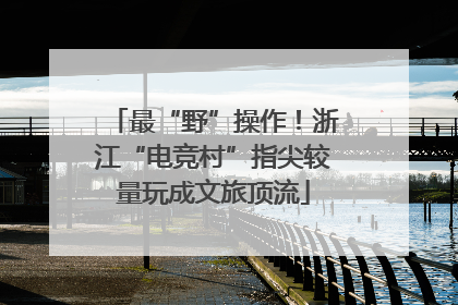 最“野”操作！浙江“电竞村”指尖较量玩成文旅顶流