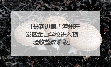 最新进展！漳州开发区金山学校进入预验收整改阶段