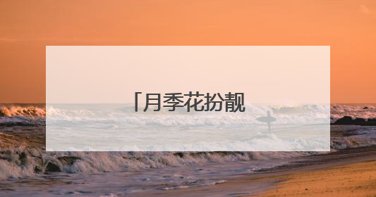 月季花扮靓北京道路