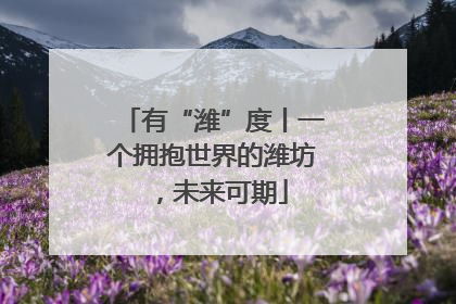 有“潍”度丨一个拥抱世界的潍坊，未来可期