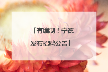 有编制！宁德发布招聘公告