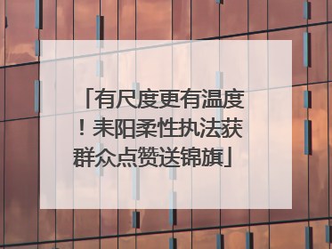 有尺度更有温度！耒阳柔性执法获群众点赞送锦旗