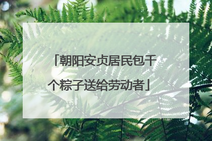 朝阳安贞居民包千个粽子送给劳动者
