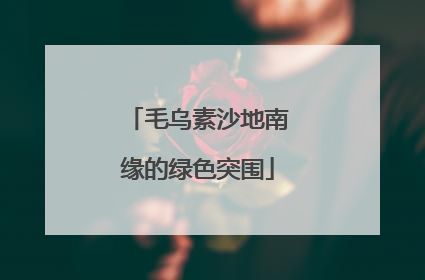毛乌素沙地南缘的绿色突围