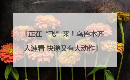 正在“飞”来！乌鲁木齐人速看 快递又有大动作