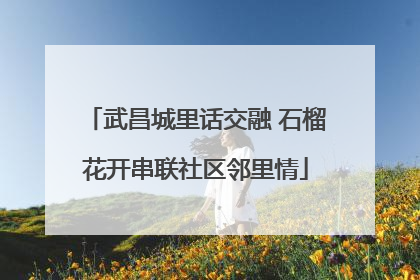 武昌城里话交融 石榴花开串联社区邻里情