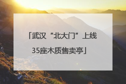 武汉“北大门”上线35座木质售卖亭