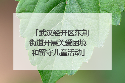 武汉经开区东荆街道开展关爱困境和留守儿童活动