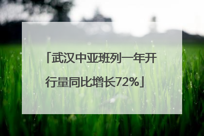 武汉中亚班列一年开行量同比增长72%