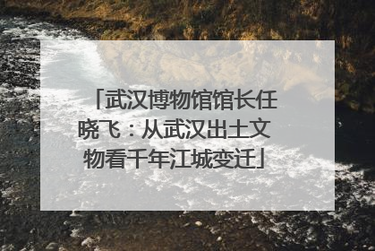 武汉博物馆馆长任晓飞：从武汉出土文物看千年江城变迁