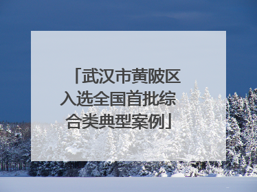 武汉市黄陂区入选全国首批综合类典型案例