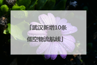 武汉新增10条低空物流航线