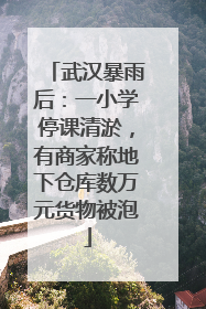 武汉暴雨后：一小学停课清淤，有商家称地下仓库数万元货物被泡