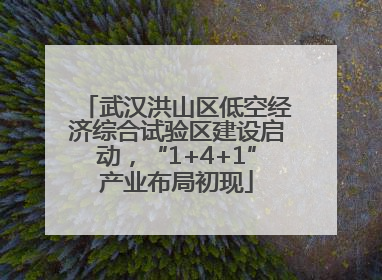 武汉洪山区低空经济综合试验区建设启动，“1+4+1”产业布局初现