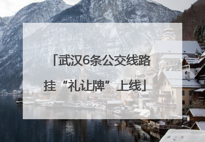 武汉6条公交线路挂“礼让牌”上线