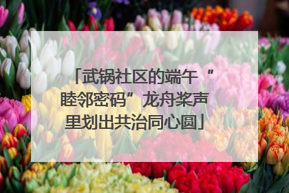 武锅社区的端午“睦邻密码”龙舟桨声里划出共治同心圆