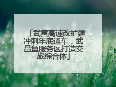 武黄高速改扩建冲刺年底通车，武昌鱼服务区打造交旅综合体