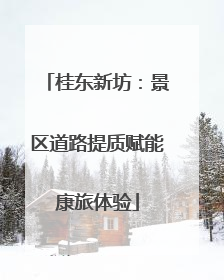 桂东新坊：景区道路提质赋能康旅体验