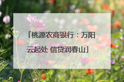 桃源农商银行：万阳云起处 信贷润春山