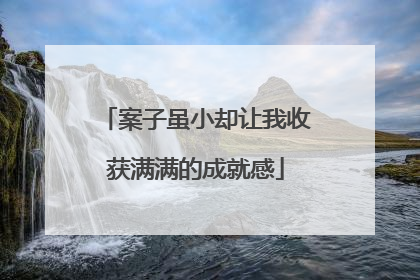 案子虽小却让我收获满满的成就感