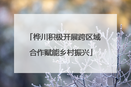 桦川积极开展跨区域合作赋能乡村振兴