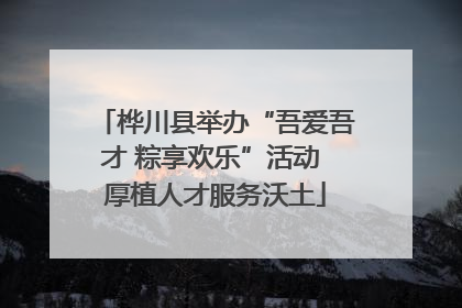 桦川县举办“吾爱吾才 粽享欢乐”活动 厚植人才服务沃土
