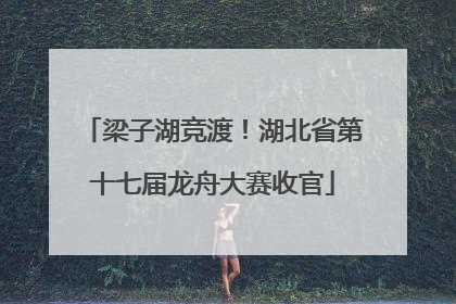 梁子湖竞渡！湖北省第十七届龙舟大赛收官