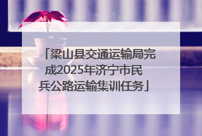 梁山县交通运输局完成2025年济宁市民兵公路运输集训任务