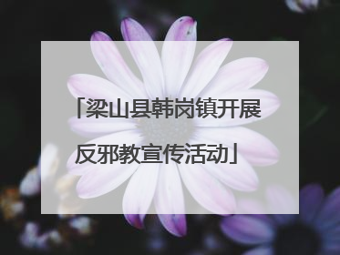 梁山县韩岗镇开展反邪教宣传活动