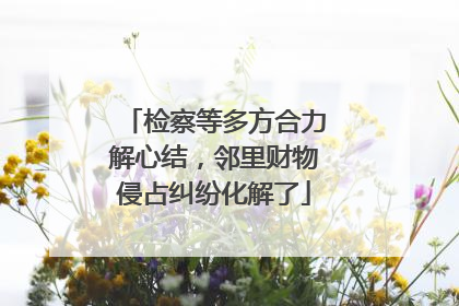 检察等多方合力解心结，邻里财物侵占纠纷化解了